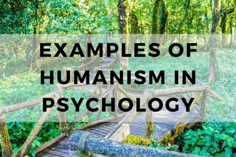 10 Insightful Examples of Humanism in Psychology