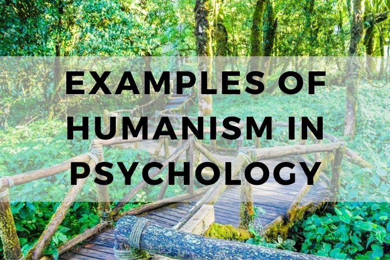 Example of Humanism in Psychology