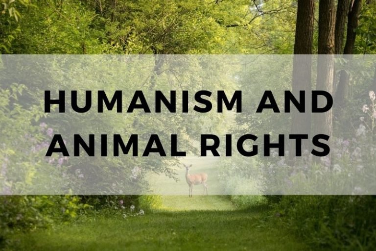 How Humanism Shapes the Animal Rights Debate
