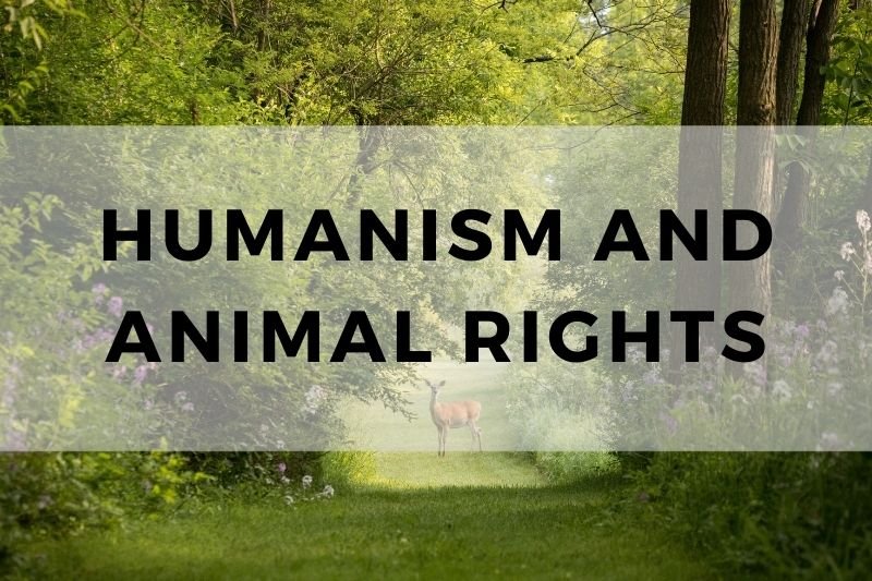 Humanism and Animal Rights